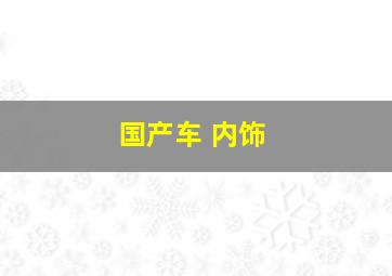 国产车 内饰